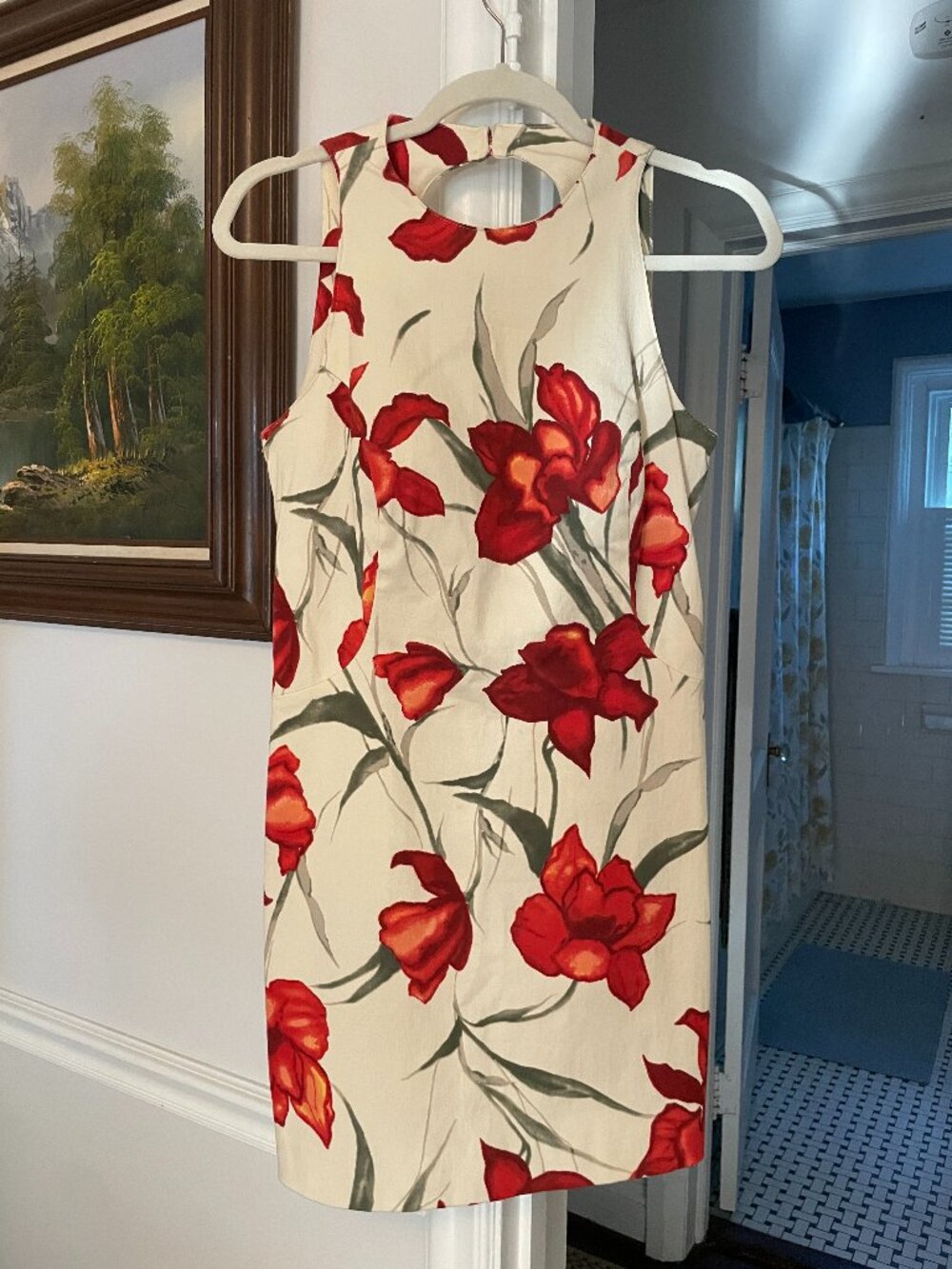 Barbara Lesser Floral Sleeveless Dress – Size M – Built‑In Bra